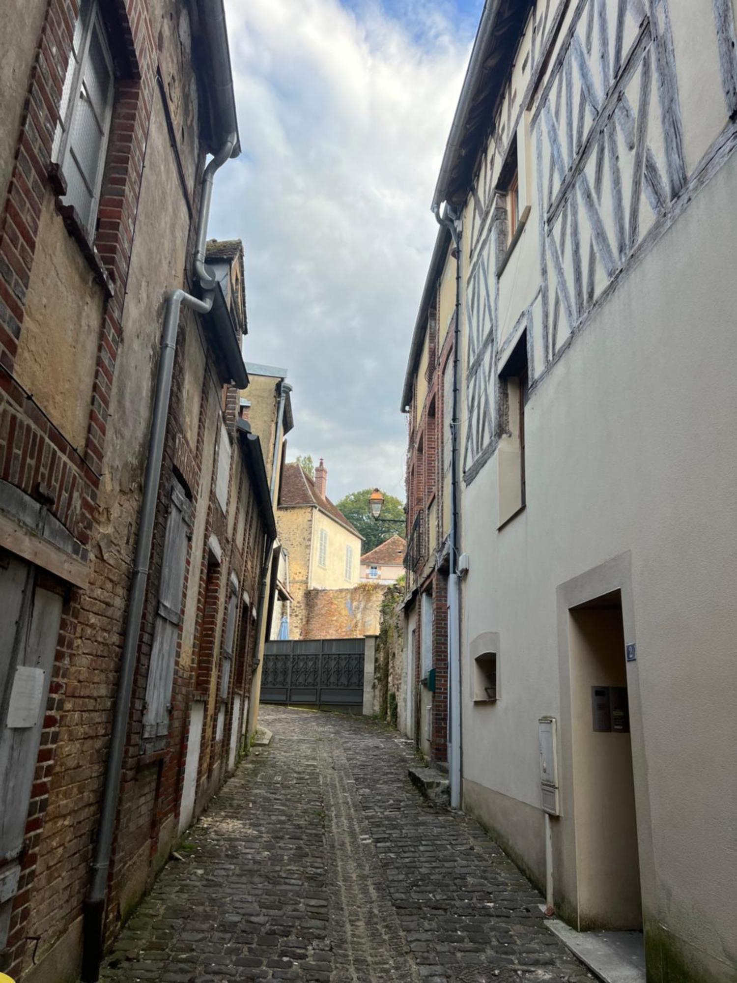 Gasthaus Le Citadin Bourguignon Toucy Exterior foto